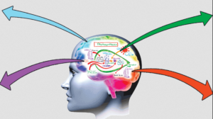 Otak Tengah Pusat Intelligent Manusia